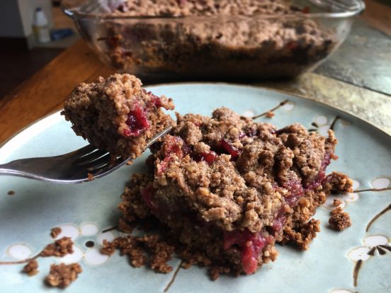 Cranberry Crumb Bars (V/GF) – Bunny's Bite